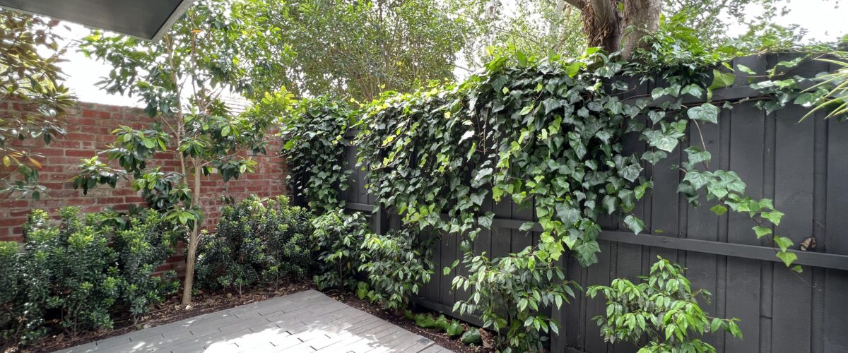 9/225 Williams Road, SOUTH YARRA, VIC 3141